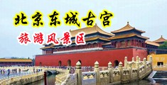淫穴淫水泛滥操天天爽中国北京-东城古宫旅游风景区